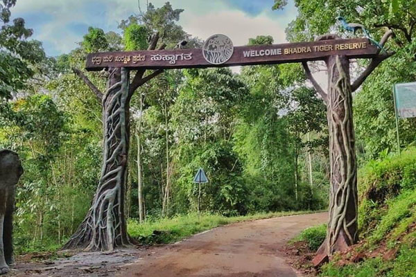 Bhadra Wildlife Sanctuary